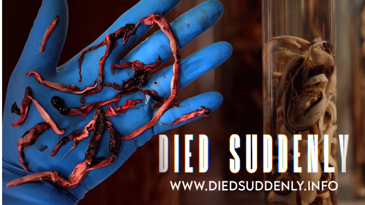 Died Suddenly is the most censored film in history. When it debuted on X, it was shadow banned, it was community noted, and at one point the entire world was blocked from playing the video. Join us tonight to experience it again, with a never before seen interview from a