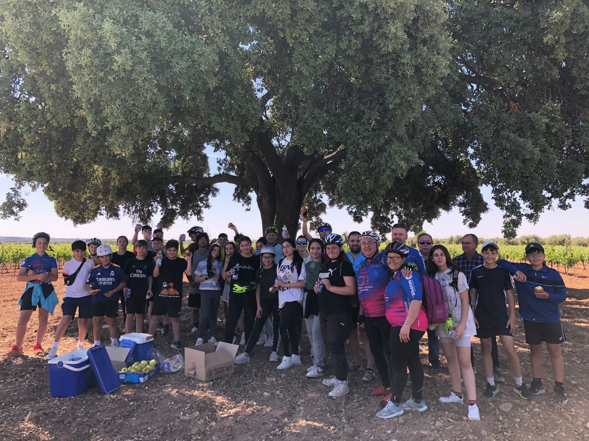 Infante Don Fadrique tweet media