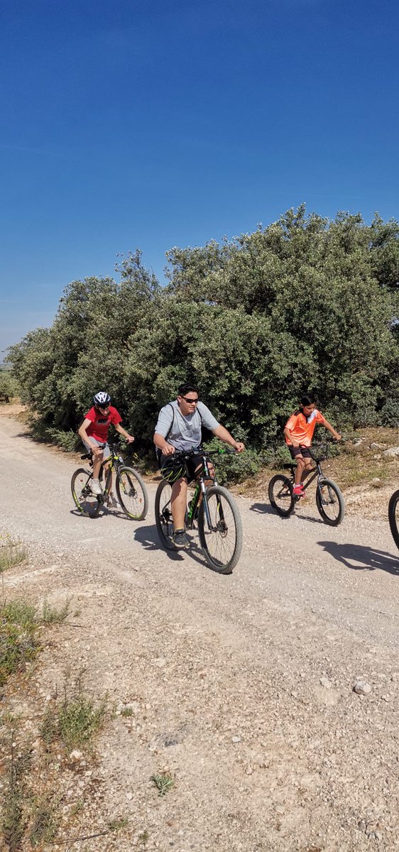 Infante Don Fadrique tweet media