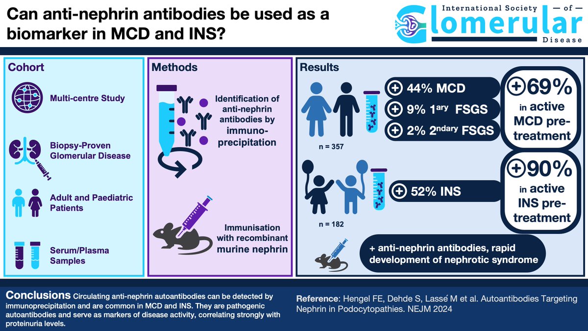 International Society of Glomerular Disease tweet media
