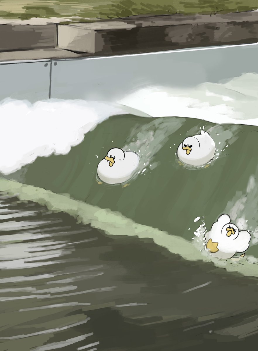 Surfing ducks