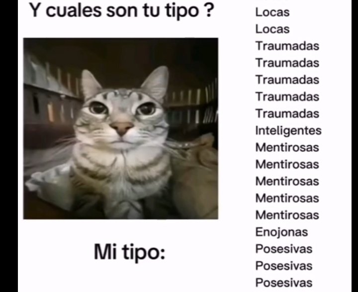 Ulises (@ulisesdavid__) on Twitter photo 