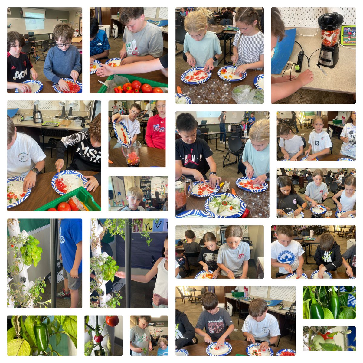 Lisa King tweet media