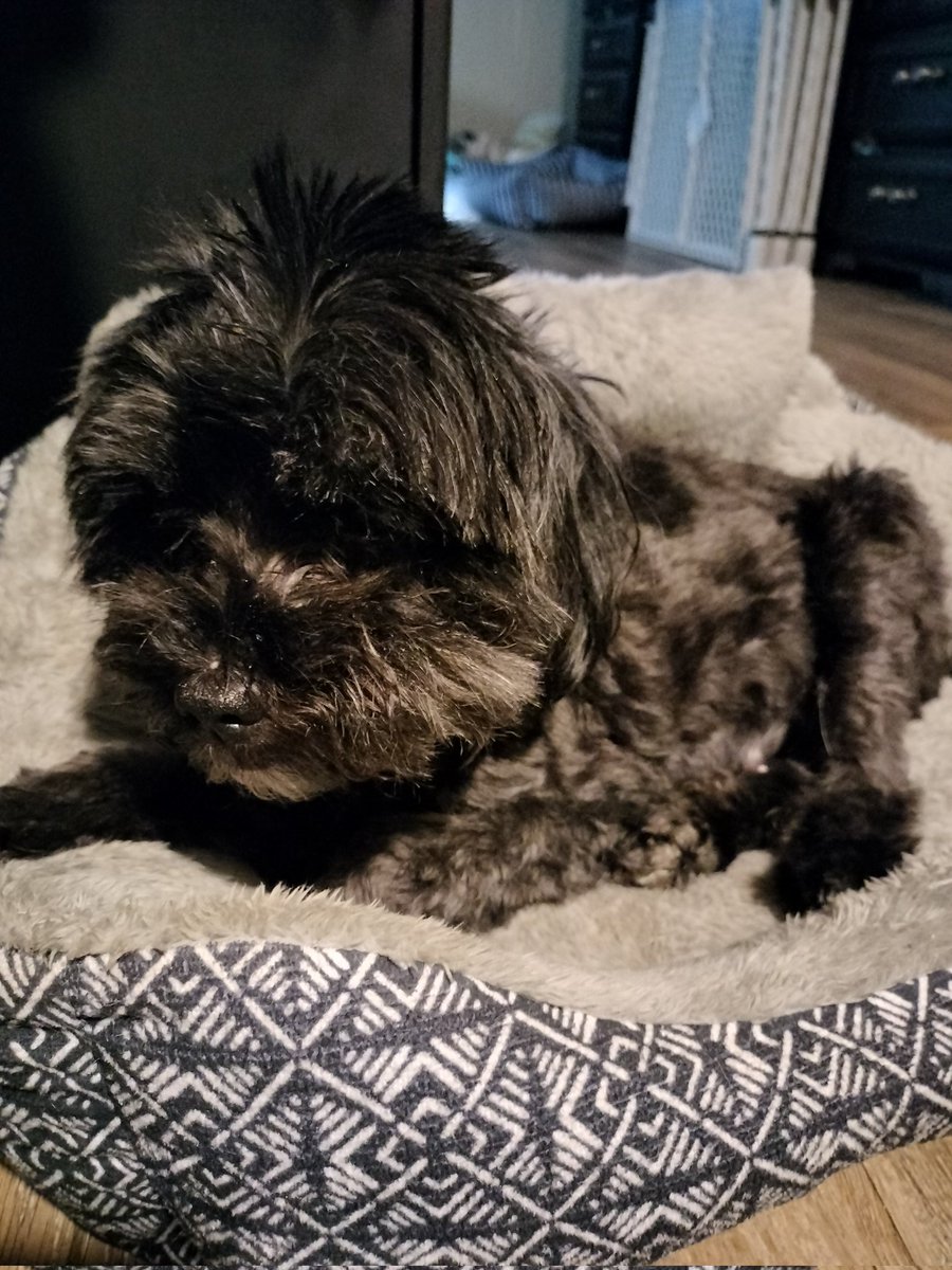MortusInvictus's tweet photo. Rest easy, Little one. https://t.co/sYAoyO5vpW