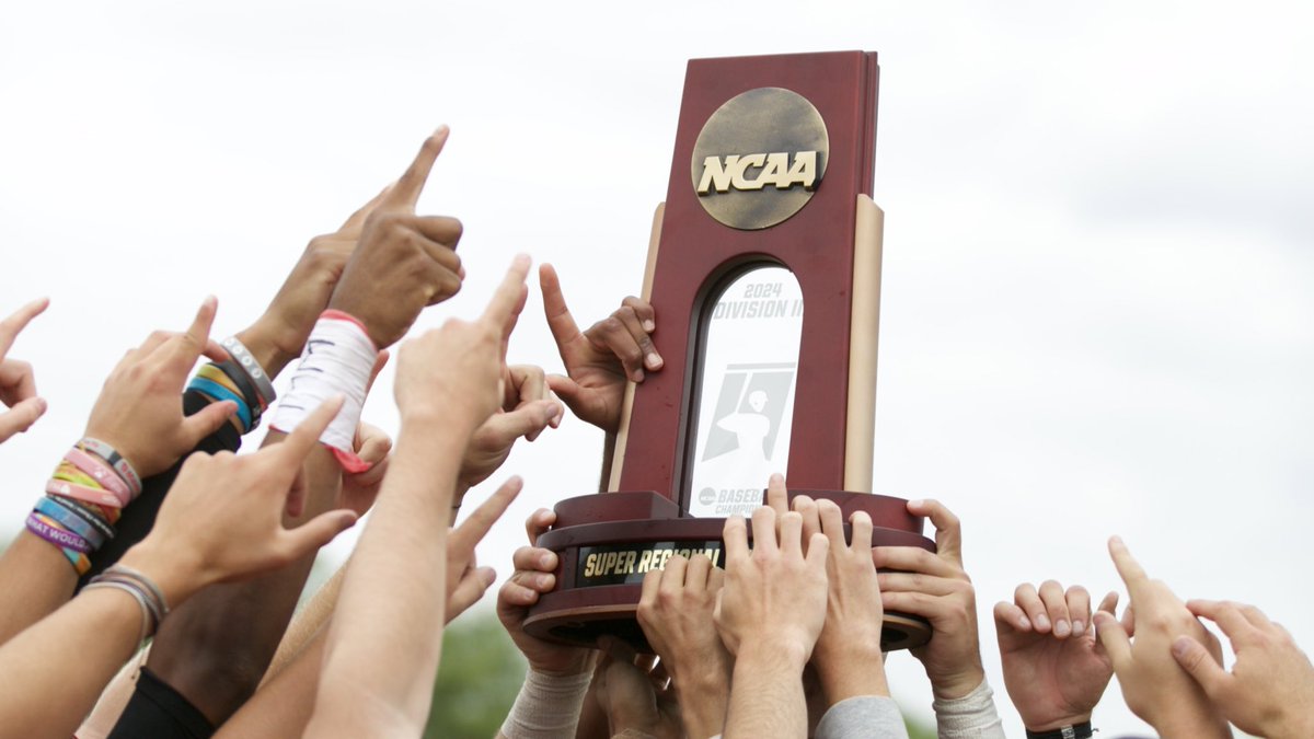 Lynchburg Sports tweet media