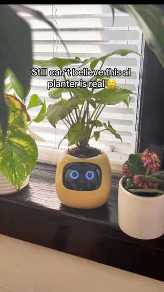 rabbit but for plants. fuck you. chatgpt for your houseplant. eat a diuck. suck my fucking dick. fuck you. fuck you so much. humane ai flowerpot. eat shit