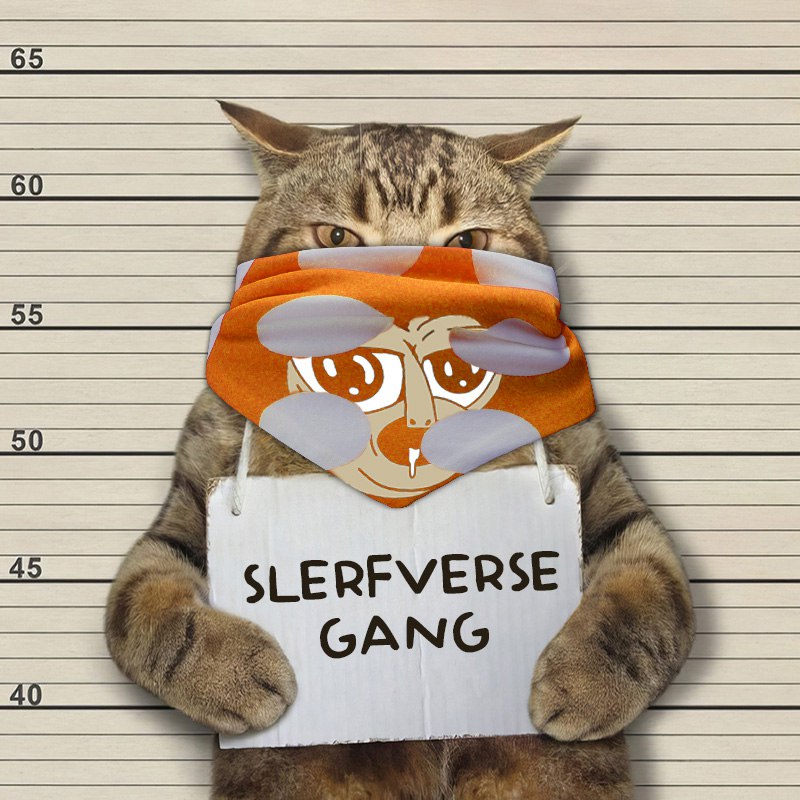 intern_onsolana's tweet photo. @Fox_onsolana @penguin_curator @cuffsol #FREECUFF

#Slerfversegang https://t.co/LVo8zQIiOa