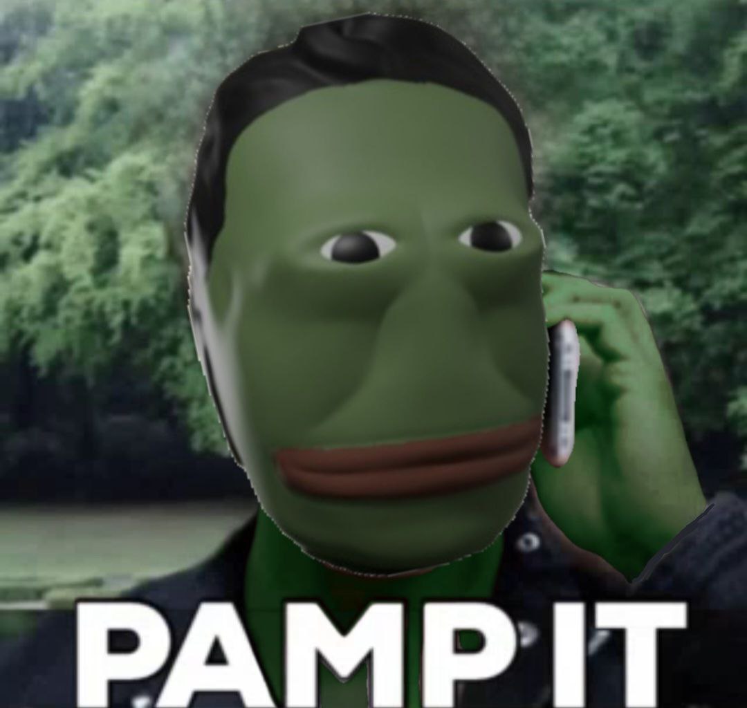 Elon Pepe Token tweet media