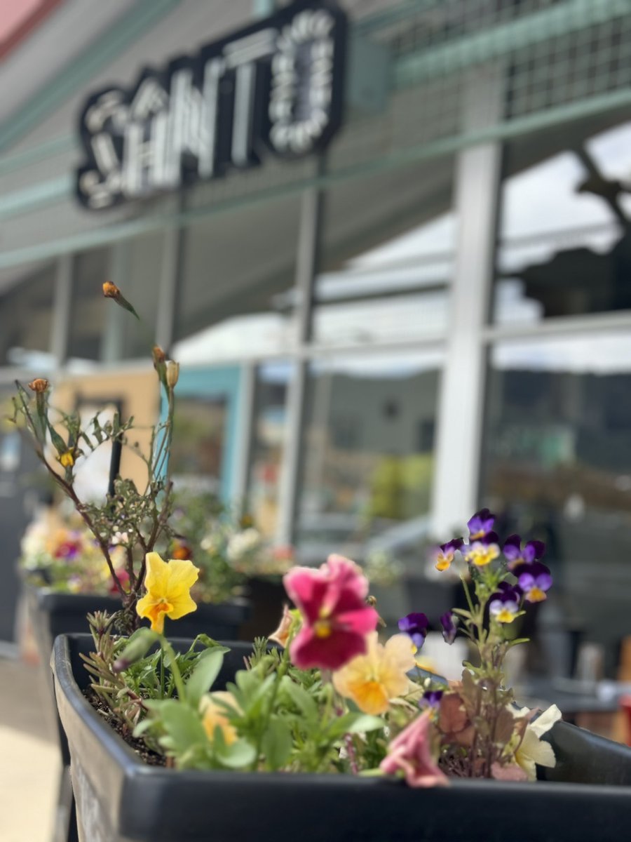 santoboulder tweet media