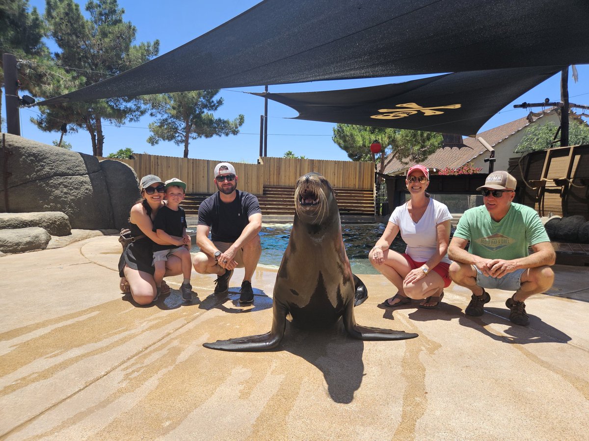 AZSenatorShamp's tweet photo. Family day at the Zoo! Thank you @ZooWildlife ! We are having a blast! #LD29strong https://t.co/MDHsaJBE9Y