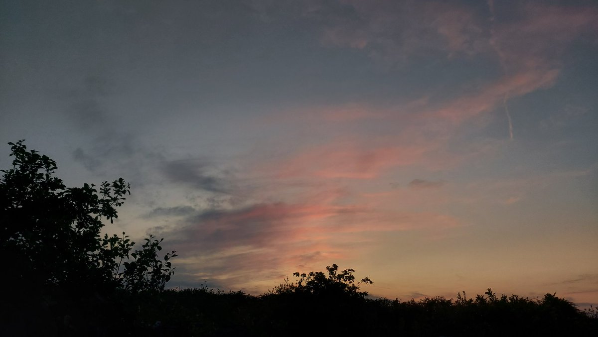 Sunset sky. Bats & moths swirling over the meadow. Tawny owls in good voice. Rain forecast before dawn.