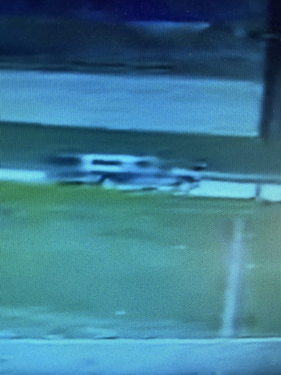 If anyone knows of an older dark blue  F150 with a white full cap on it…let me know…I’m interested in finding out what their plan was for landscaping our field with spare juniper and cedar clippings