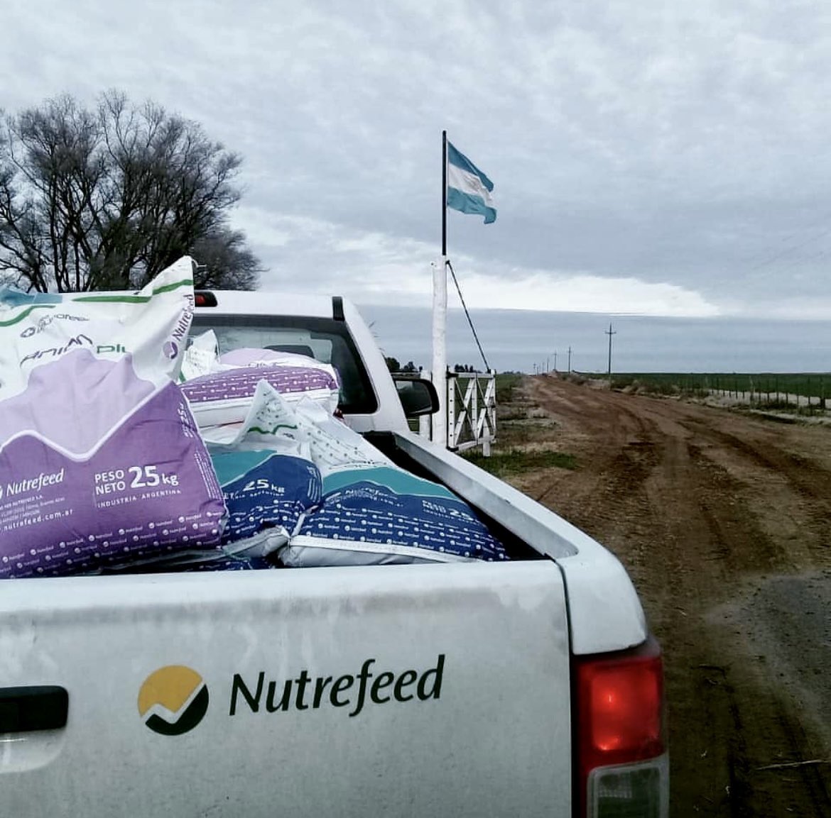 Nutrefeed S.A. tweet media