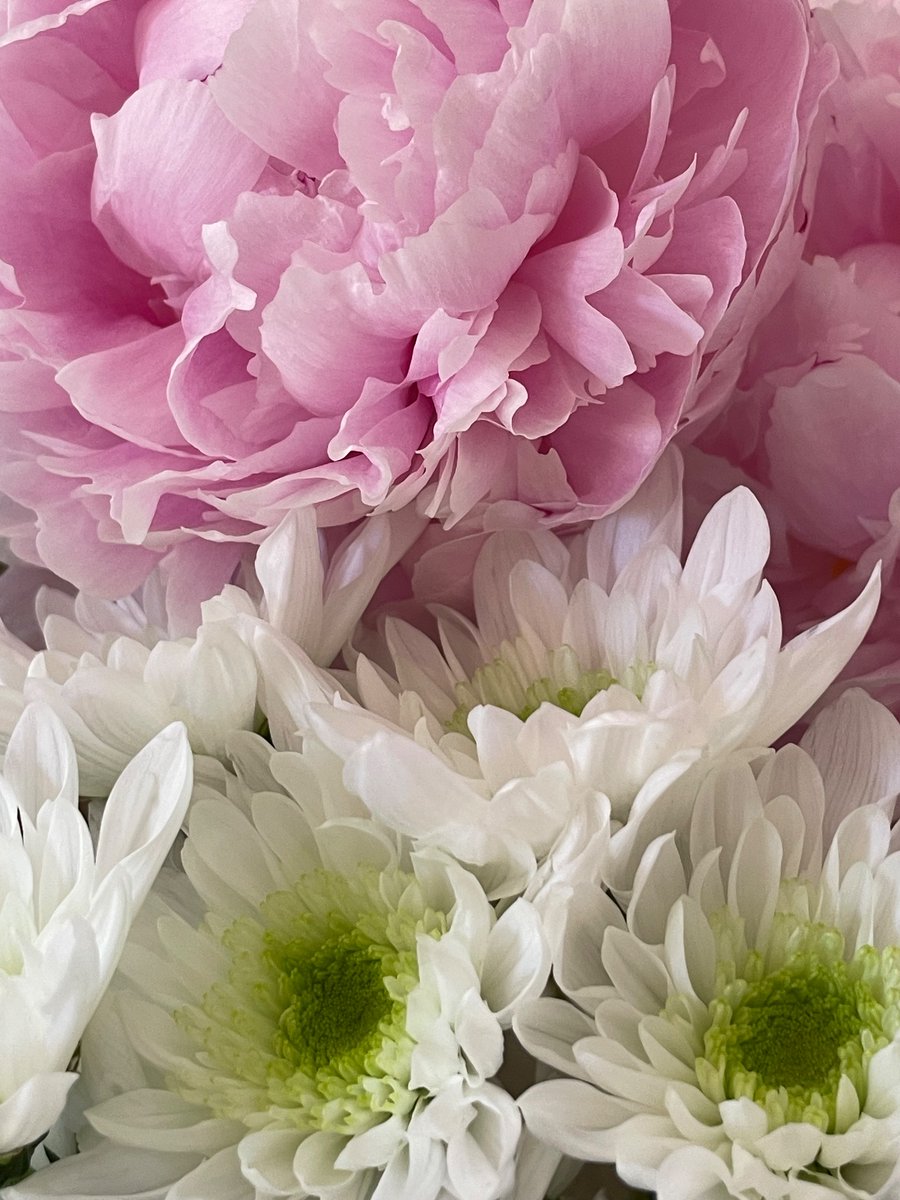 emptylandscape's tweet image. 