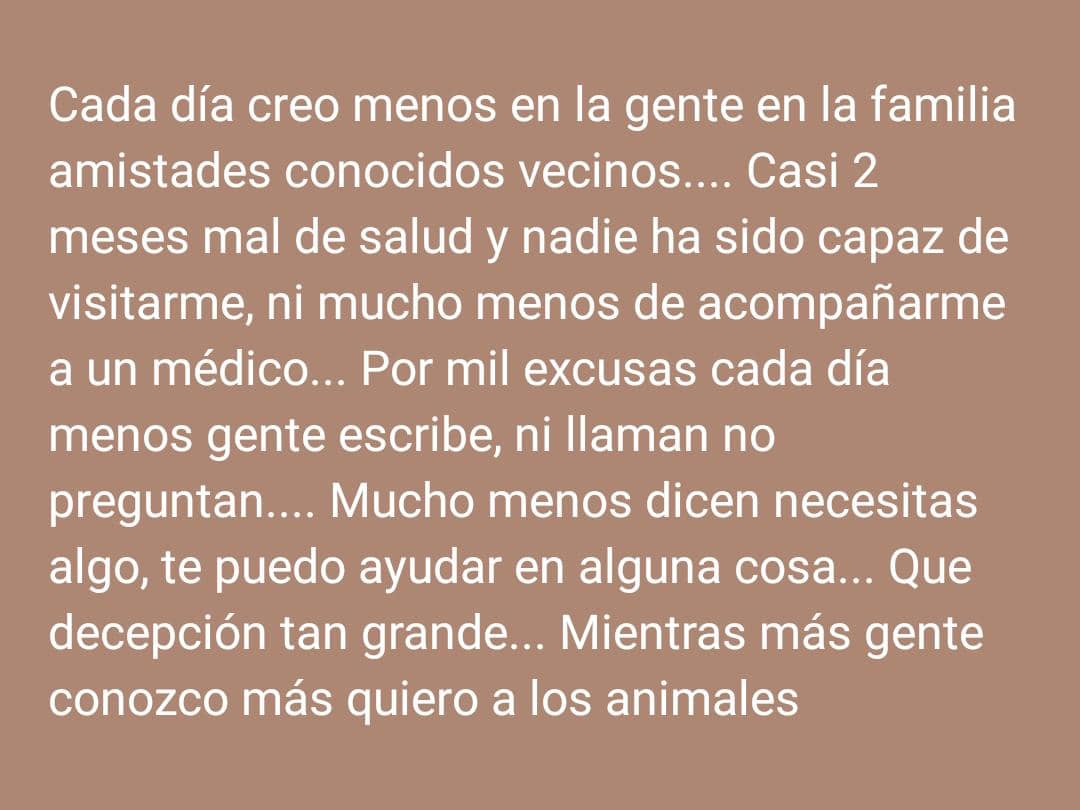 Daniela de kaadan tweet media