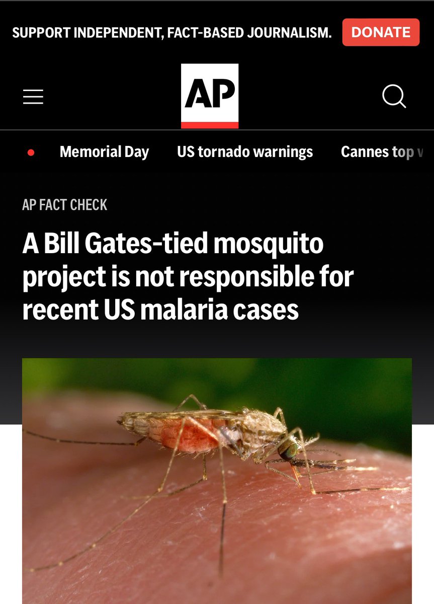 Not enough people talk about the federal government’s program that releases genetically modified mosquitoes into Texas and Florida. The AP would like you to know that this Bill Gates- ties project is not responsible for outbreak of US malaria cases.