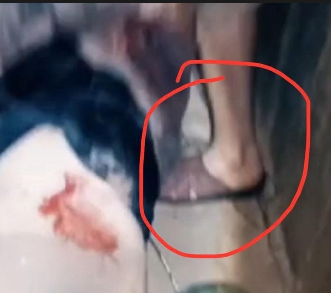 عتاد وجنود وقوات مجهزة تم اسرهم ..

والآسر يرتدي شبشب #ابو_عبيدة #غزة #جباليا_مقبرة_الغزاة