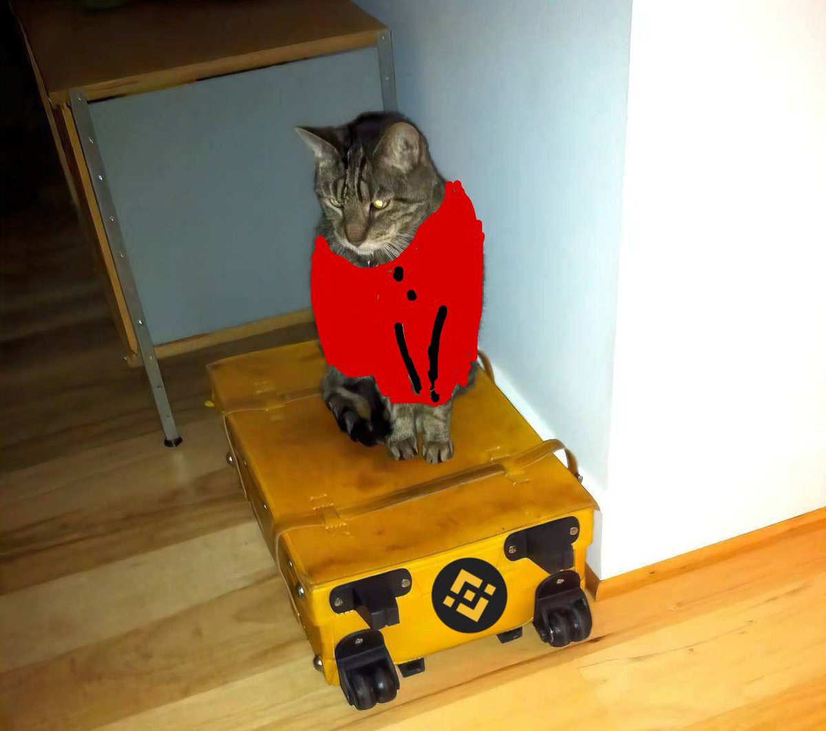 @binance @amirahbnbangel Hey @binance, Do I look good in my Pajamas outfit?