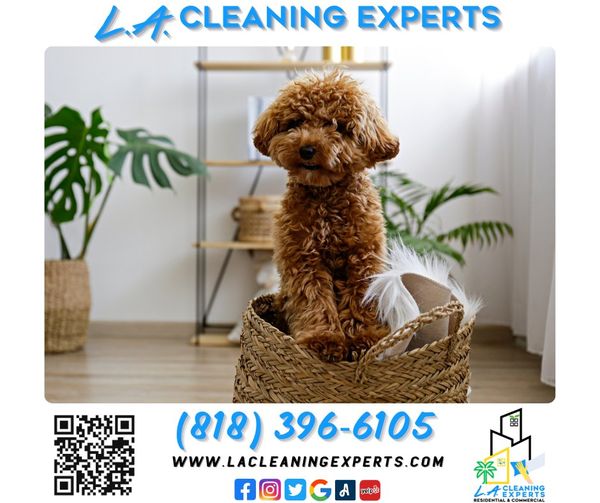 LACleanExperts tweet picture