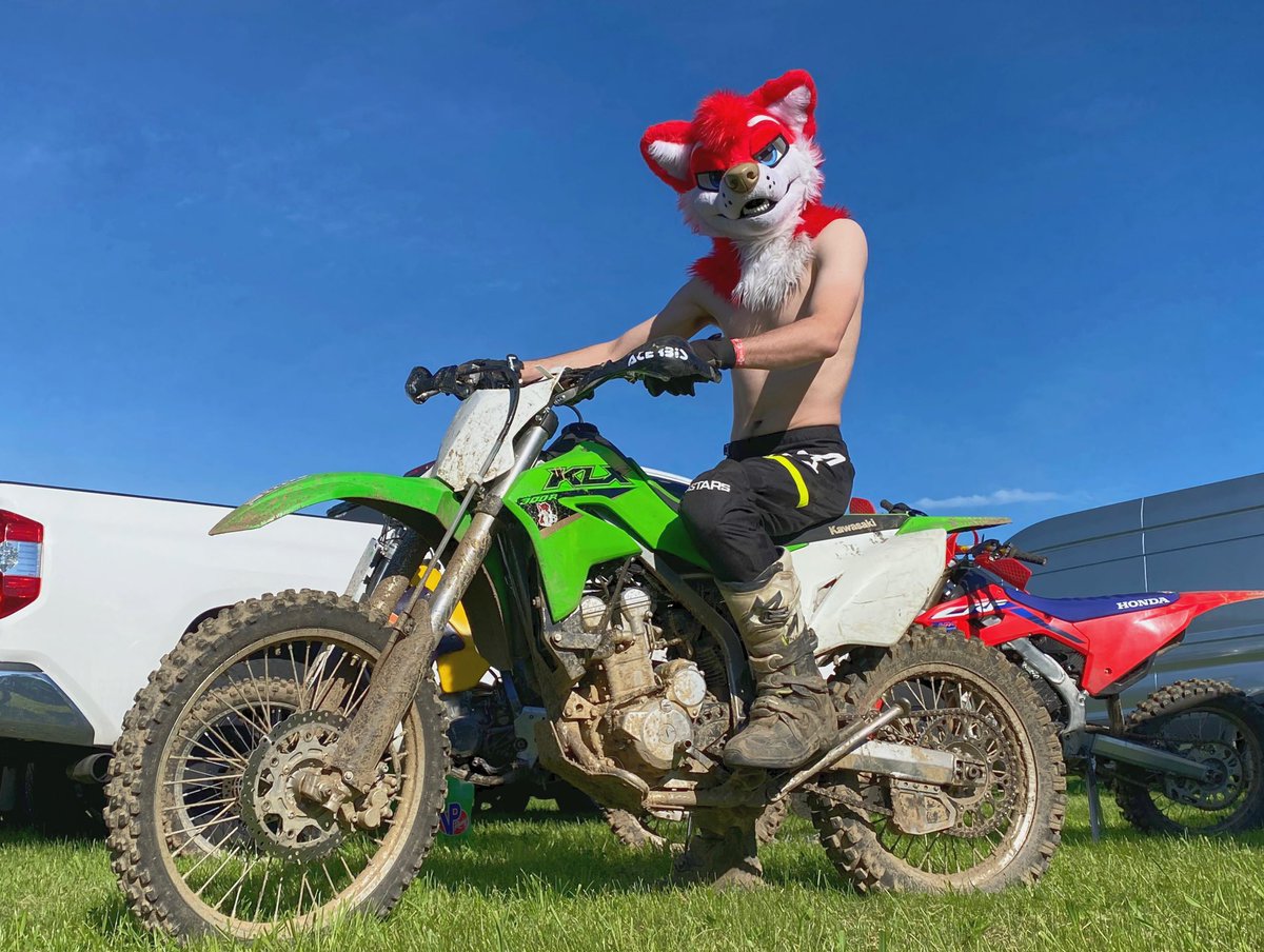 Shirtless Saturday 😮‍💨 

📸 <a href="/TourQK9/">TourQ Fluffy Blue Doggo</a>