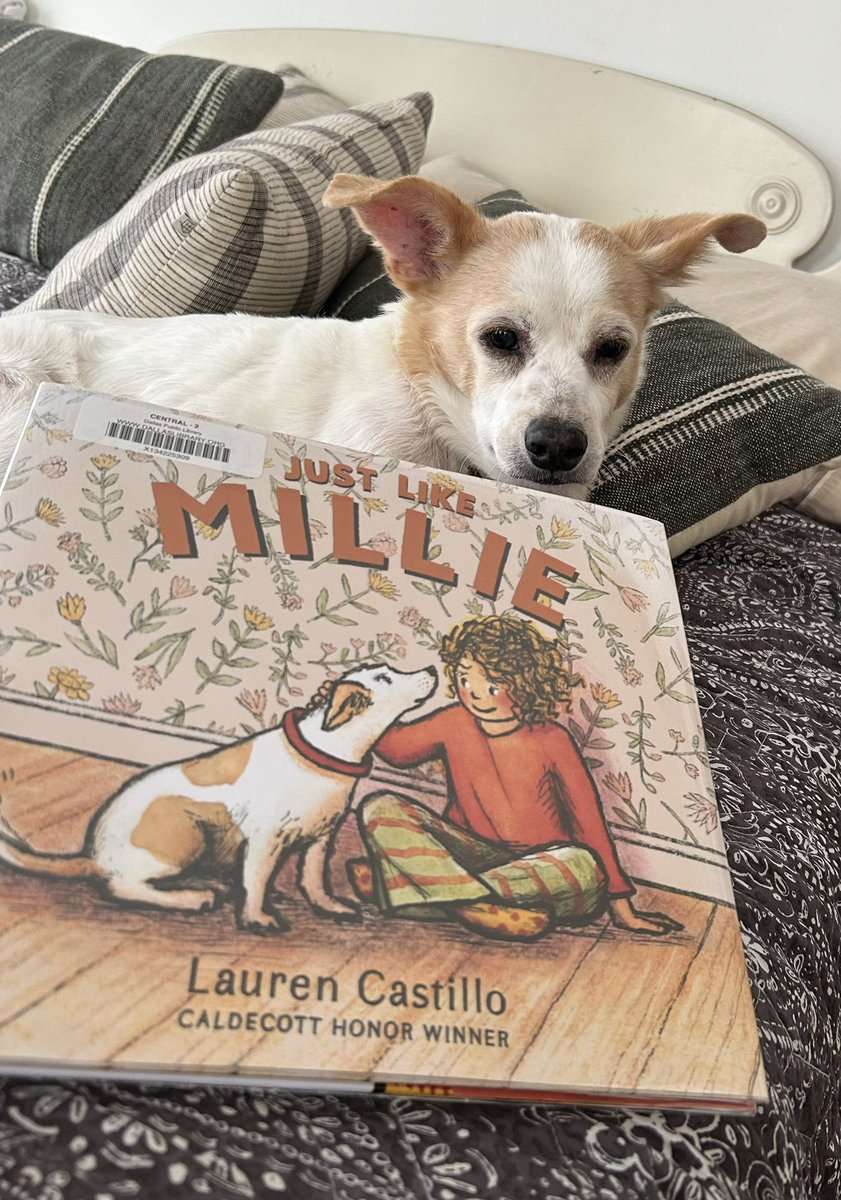 All the feels for this book about a shy little girl reluctant to greet new people, until she meets Millie. Observant readers will notice the storytime book is one by @MrSchuReads Dogs are just THE VERY best! ❤️🐶 5⭐️ @studiocastillo @DISD_Libraries #bookaday #ApprovedbyLennie