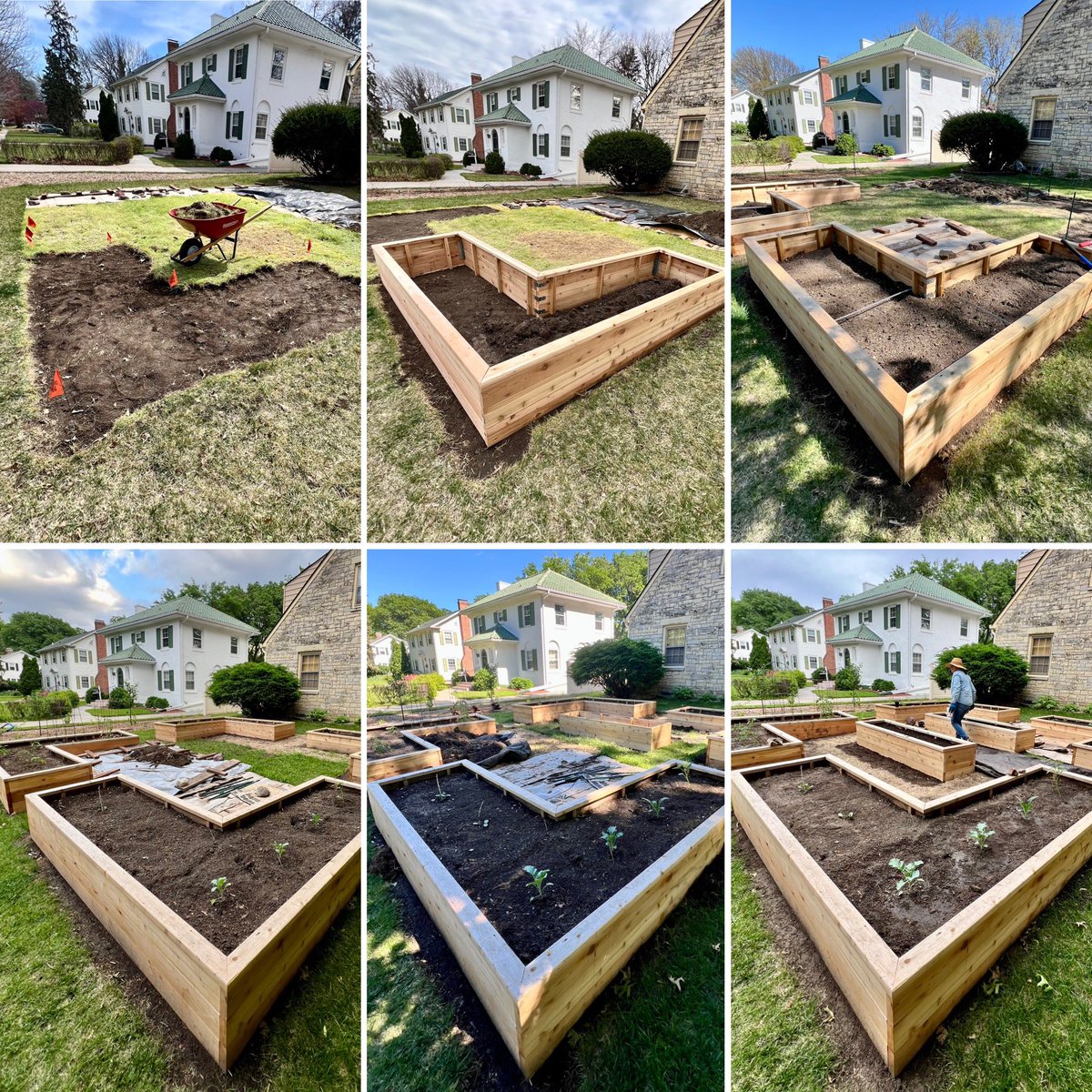 Jeff Bradshaw 🌾🐞 tweet media