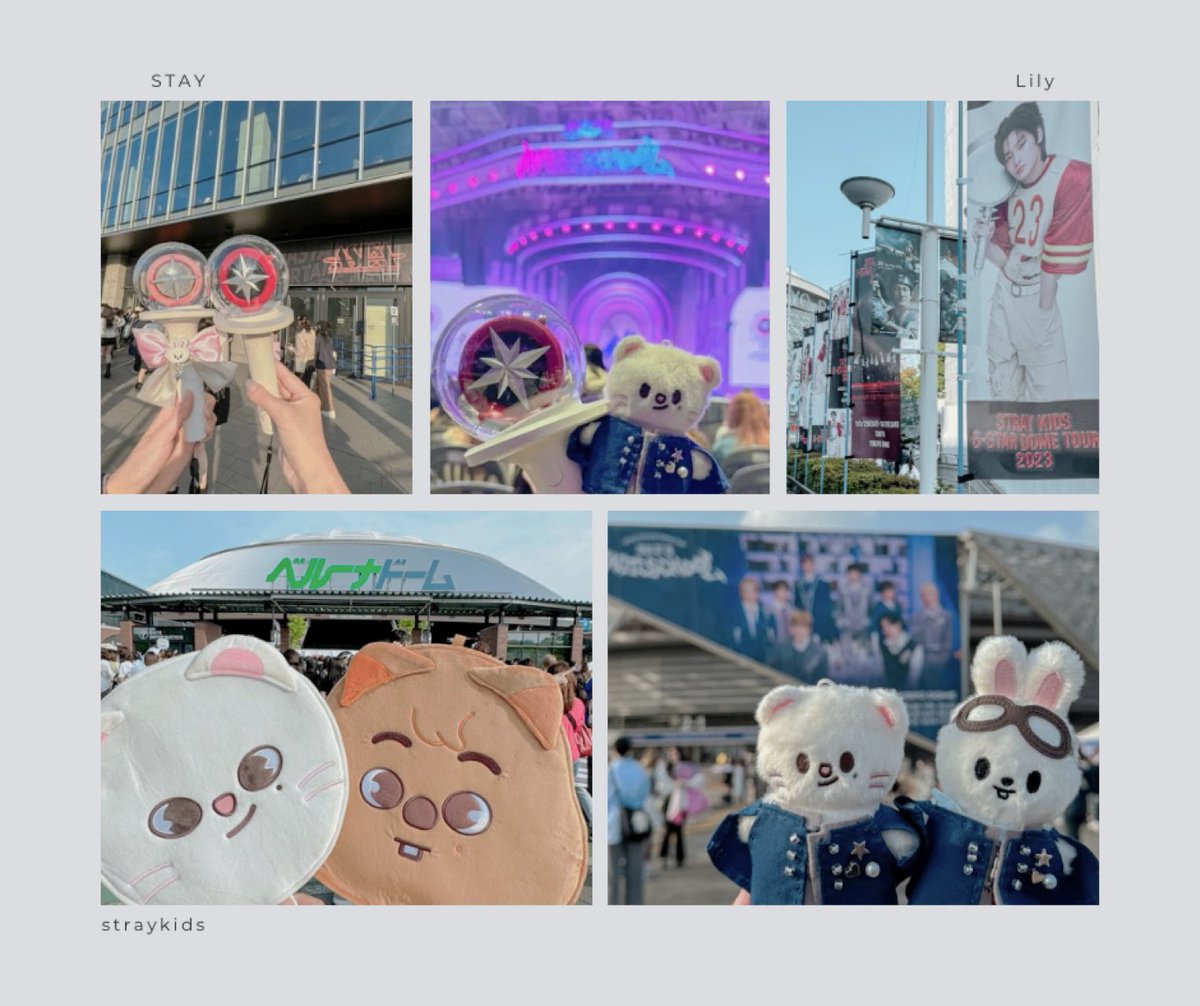 🏷️tag

大人STAY ┊ Tokyo ┊ 83 ┊同他◎ 
🐿️🦙よりオルペン
家族で推してます ◡̈

仲良くしてください!!

♡で気になった方お迎えにあがります

 #StrayKids 
 #StrayKids好きな人と繋がりたい 
 #STAY
 #大人STAYさんと繋がりたい