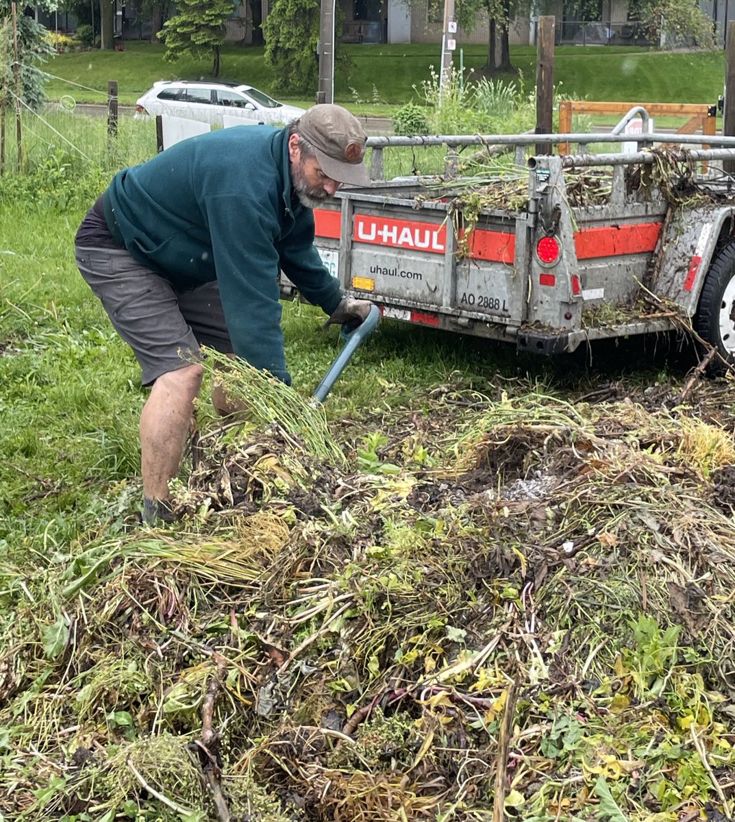 All day in the rain #community #volunteer @RalfMesenbrink single handedly took several #UHaul trailer loads of garden waste to @cityofguelph Waste Centre ~ dedicated to #communitygarden @PollinateGuelph @IgnatiusFarm #FoodAccess #FoodSecurity