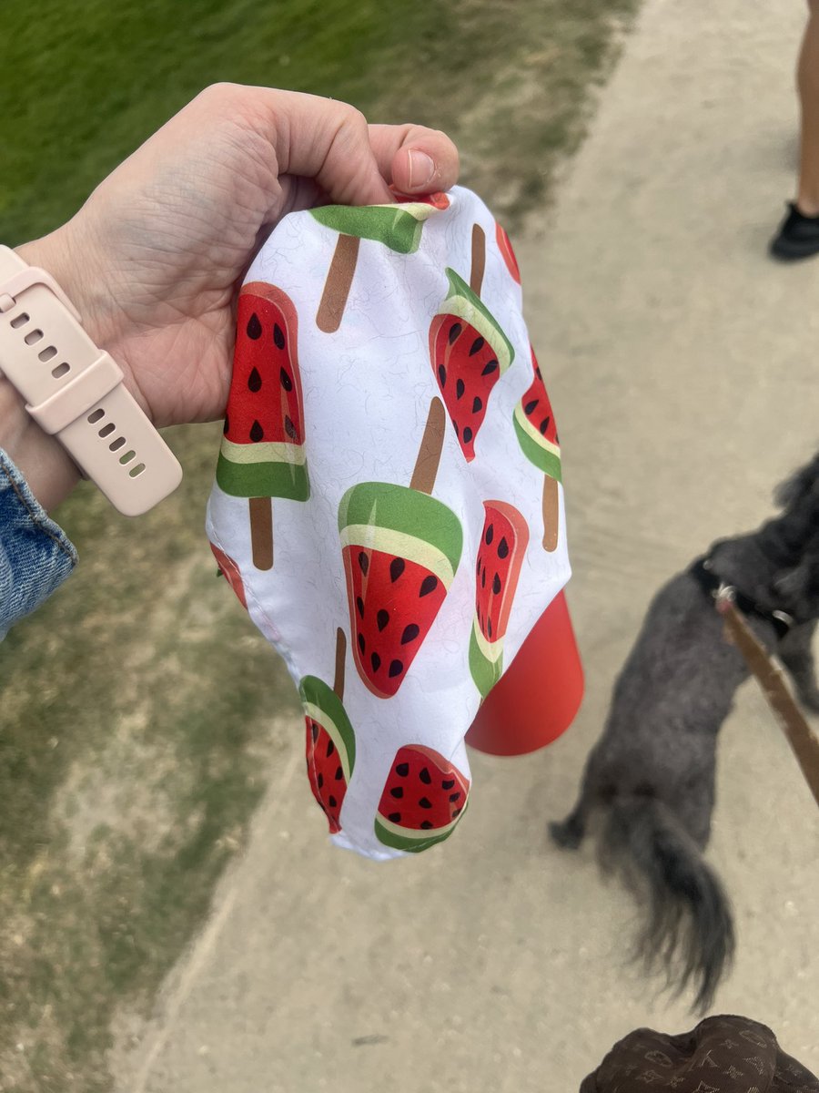 Took my dog to get groomed. This is what they put on him. Do you think this was intentional… as in , they know what they’re doing ? I called to see if they have any other sweet treats & the young girl on the phone said NO and they ordered a bunch of these from Amazon.