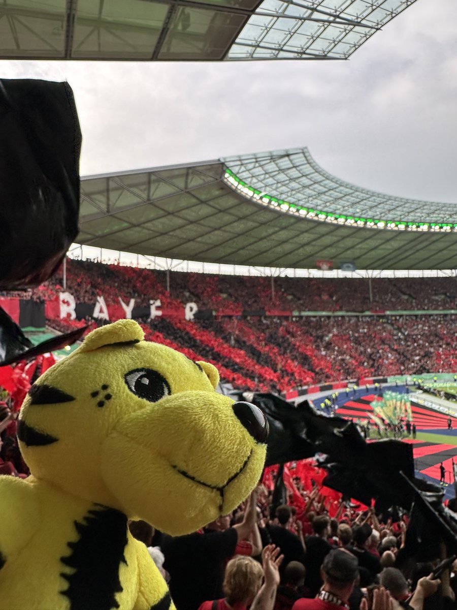 tsv_bayer_04's tweet photo. Herzlichen Glückwunsch zum Pokal, @bayer04fussball! Was für eine grandiose Saison!
Unser Tiger Paule war - neben den Hunderten TSV-Caps - als Glücksbringer mit dabei 😉
#Doublekusen https://t.co/bmuuvbkCHj