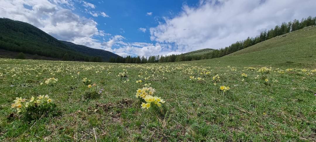 Монголын сайхан орон
아른다운 나라, 신비의 땅 몽골