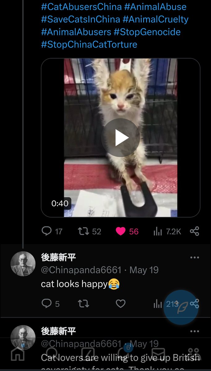 Since #Chinese 🇨🇳#FirstResponders care about cats so much, I'd like to report 3 emergencies. These 3 #Chinese individuals self identify as cat abuse fans and cat abusers. #StopChinaCatTorture 
@ XingPing0615
@ Chinapanda6661
@ alanng18357290