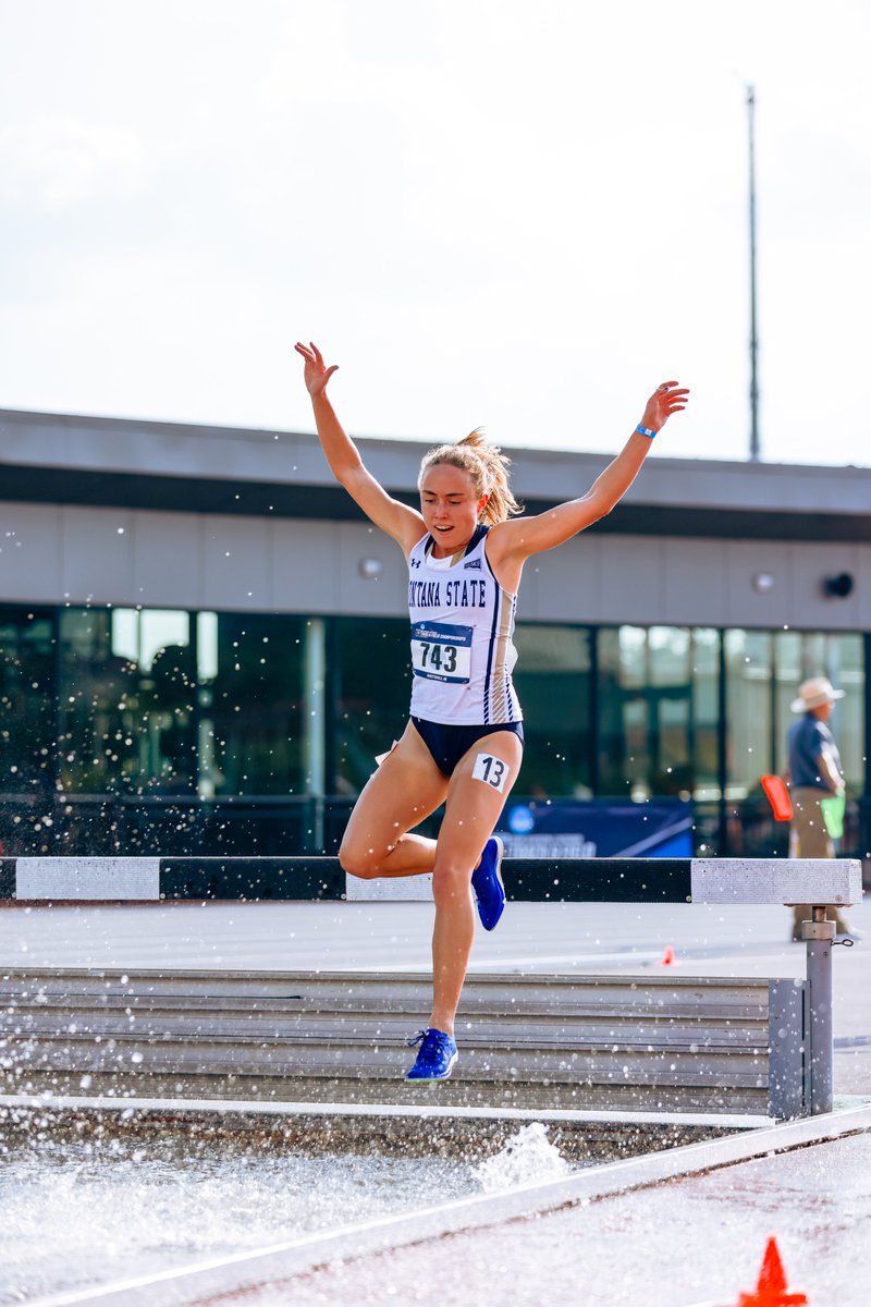 Montana State TF/XC tweet media