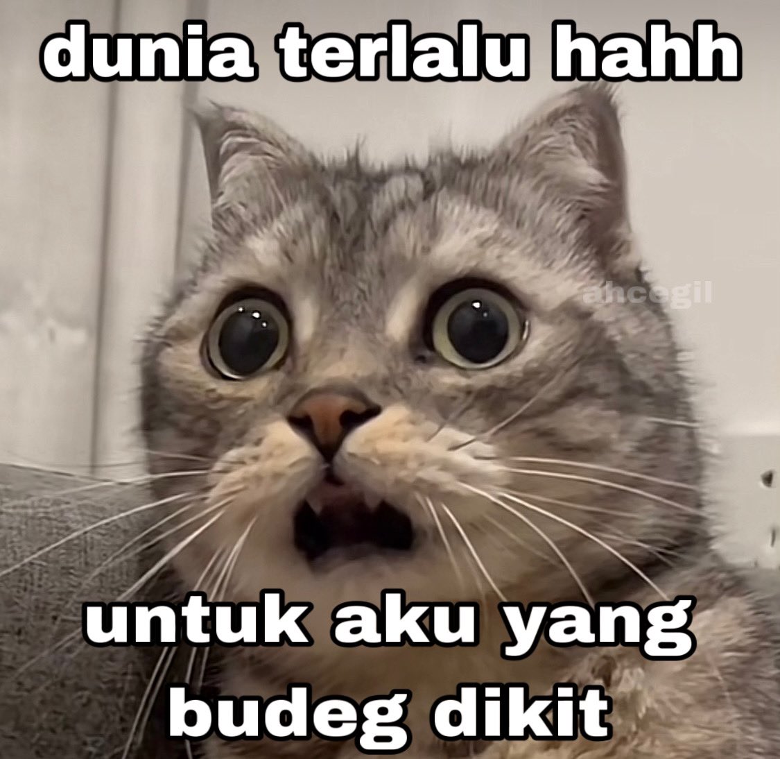 aca tk a (@ahcegil) on Twitter photo 