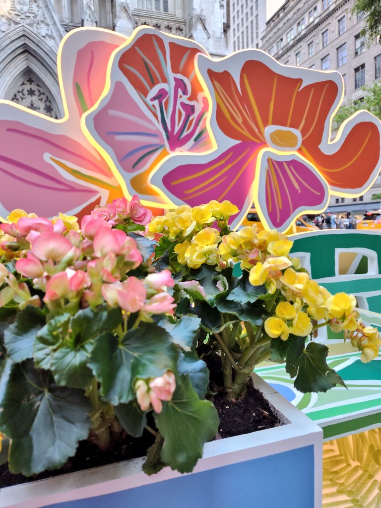 Spring is in full bloom at Rockefeller Center! 😍
Looks beautiful blended in among the iconic historic New York City architecture. 💖🏙️💖
✨🌺✨🌸✨🌺✨
#RockefellerCenter
#springtime #publicart 
#art #architecture #nyc