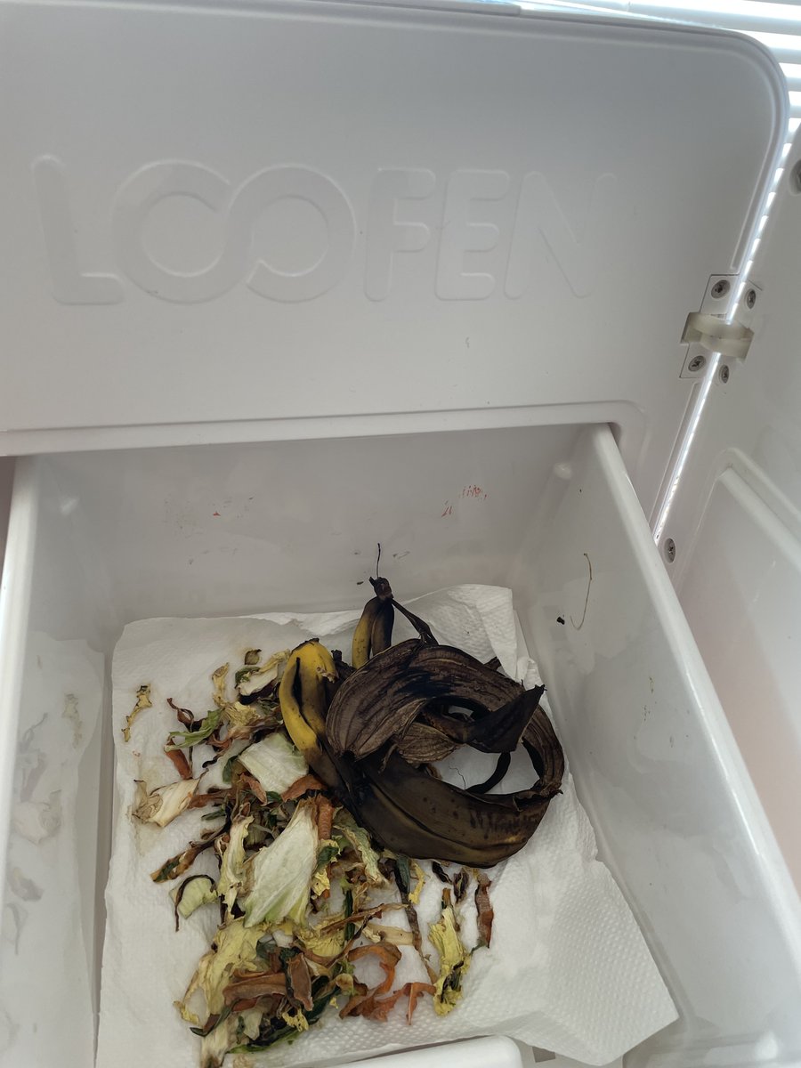 SuperSmartMam's tweet photo. 【子供達もゴミ箱がわりに使っている生ごみ処理機】

朝食で食べたバナナの皮を子供達がポイっ🍌

ゴミ箱代わりにも使用できて◎

とっても、便利な生ごみ処理機「#ルーフェン」の1万円割引クーポンが届いています。    

補助金と合わせてお得に購入できますよ。

▼1万円割引クーポンはこち▼
https://t.co/QryYP4ZgZn 

#生ゴミ処理機 #ルーフェン #補助金 #助成金 #ごみ減量 #名も���き家事 #ごみ捨て #環境 #エコ #先着順 #マンション暮らし #便利家電 #ごみ捨て #シンプル #ホワイト家電 #生ごみ臭 #コバエ対策 #おしゃれなゴミ箱 #三角コーナー #ストレス #排水溝の掃除 #キッチンリセット #時短 #ラク家事 #ごみ捨てルール #先着順 #新築 #マイホーム #新生活 #離乳食 #幼児食 #働くママ #ルーティーン #お洒落家電  #暮らし