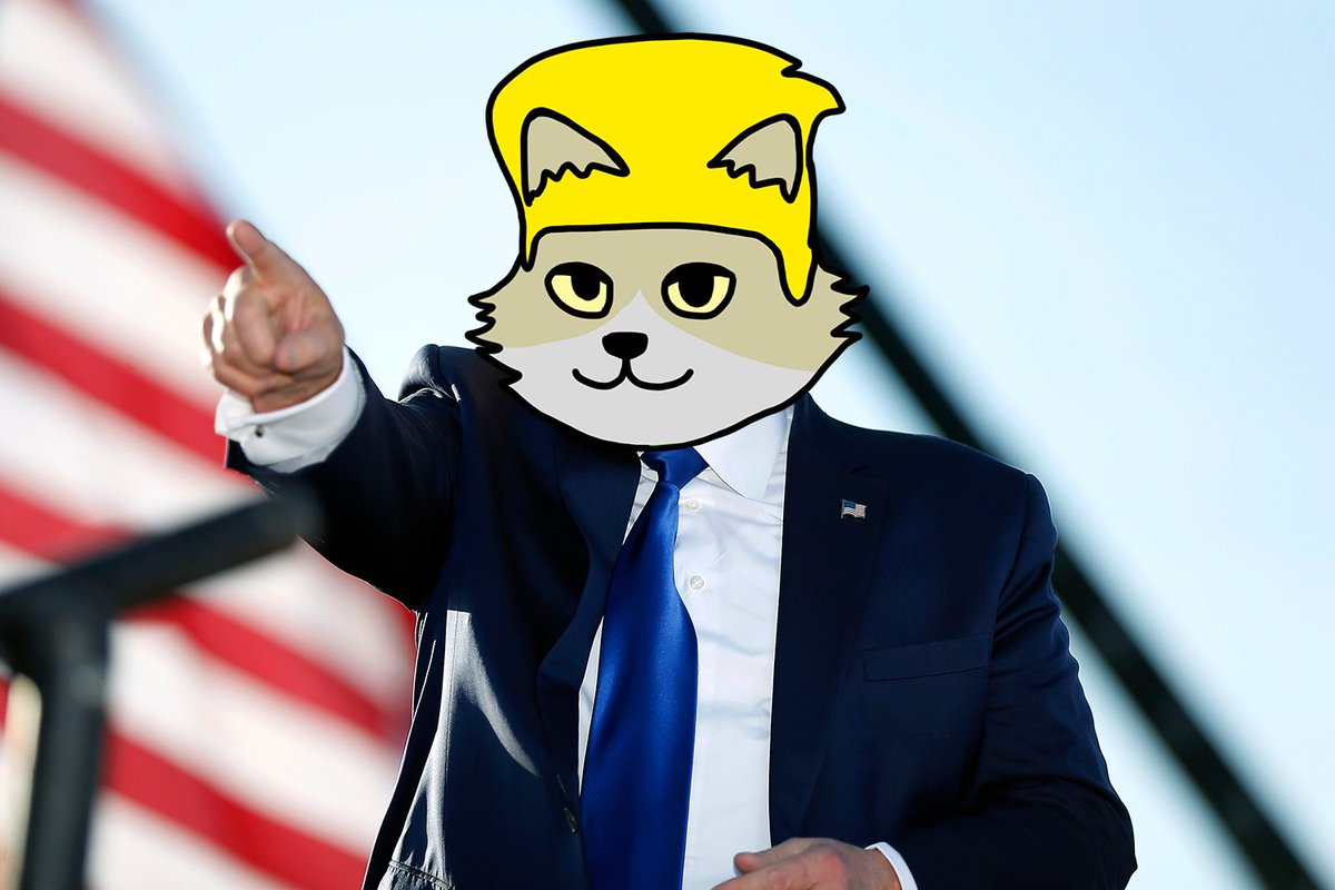 TrumpCatSol_'s tweet photo. $CATRMP 🐱

website live: https://t.co/qiUJv33AdA
Live in 30 minutes on #RAYDIUM 🚀 https://t.co/CR1kZApusN