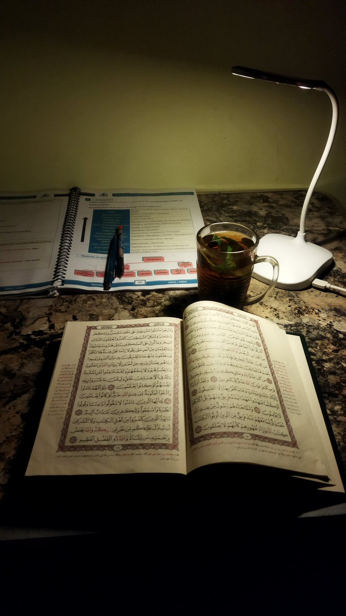 miamin55's tweet photo. نواجه ثُقل ليالي الإمتحانات بالقرآن
+كوباية شاي بالنعناع https://t.co/0KxSvO7SZK