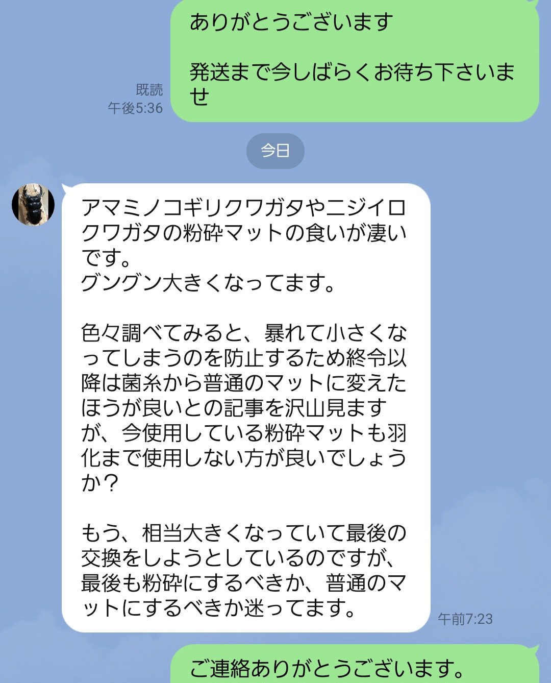 最強のカブトムシ☆クワガタマット作ってます 最強のカブトムシ☆クワガタマット作ってます