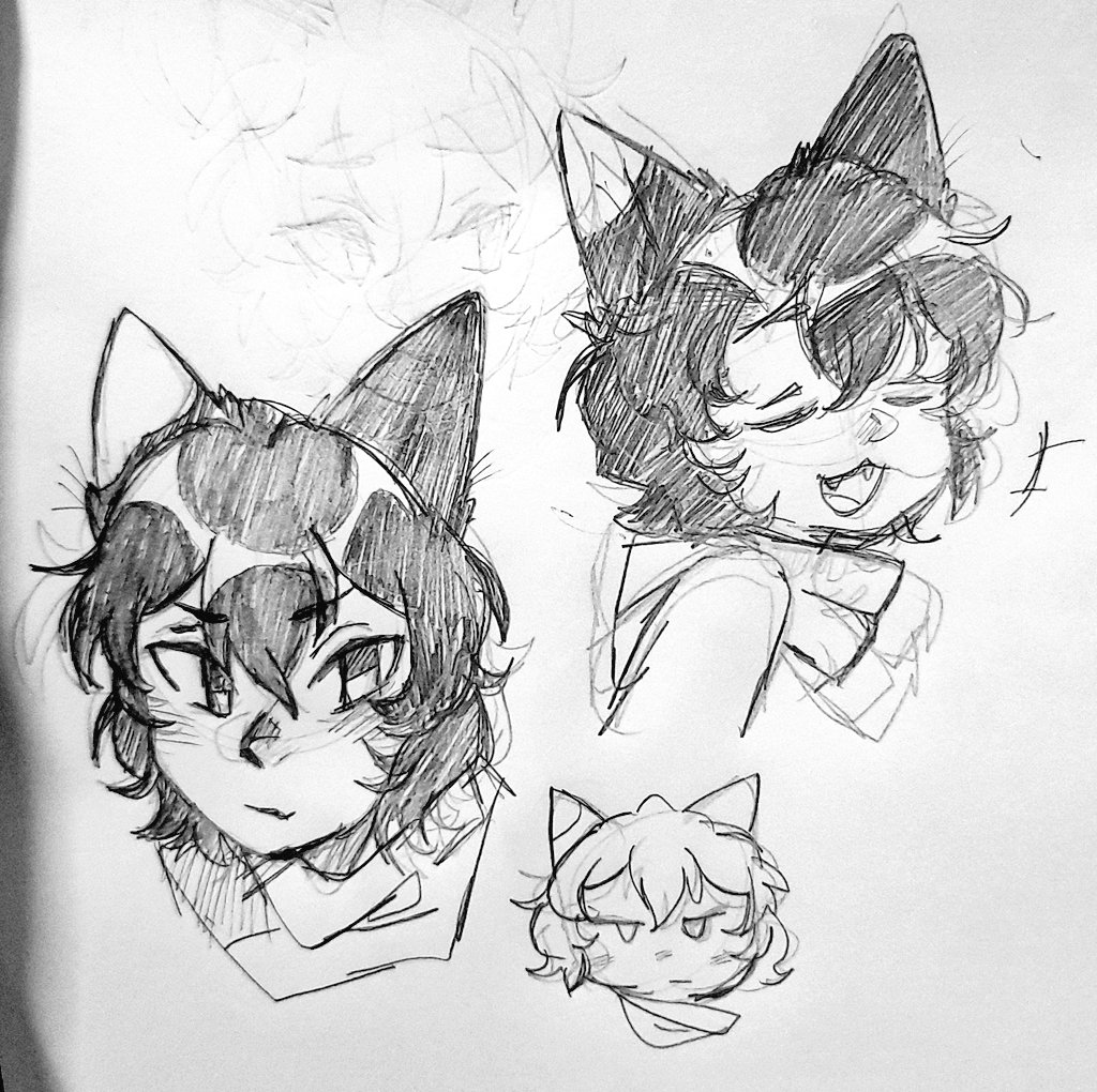 girlcat girlcat girlcat #DungeonMeshi #izutsumi