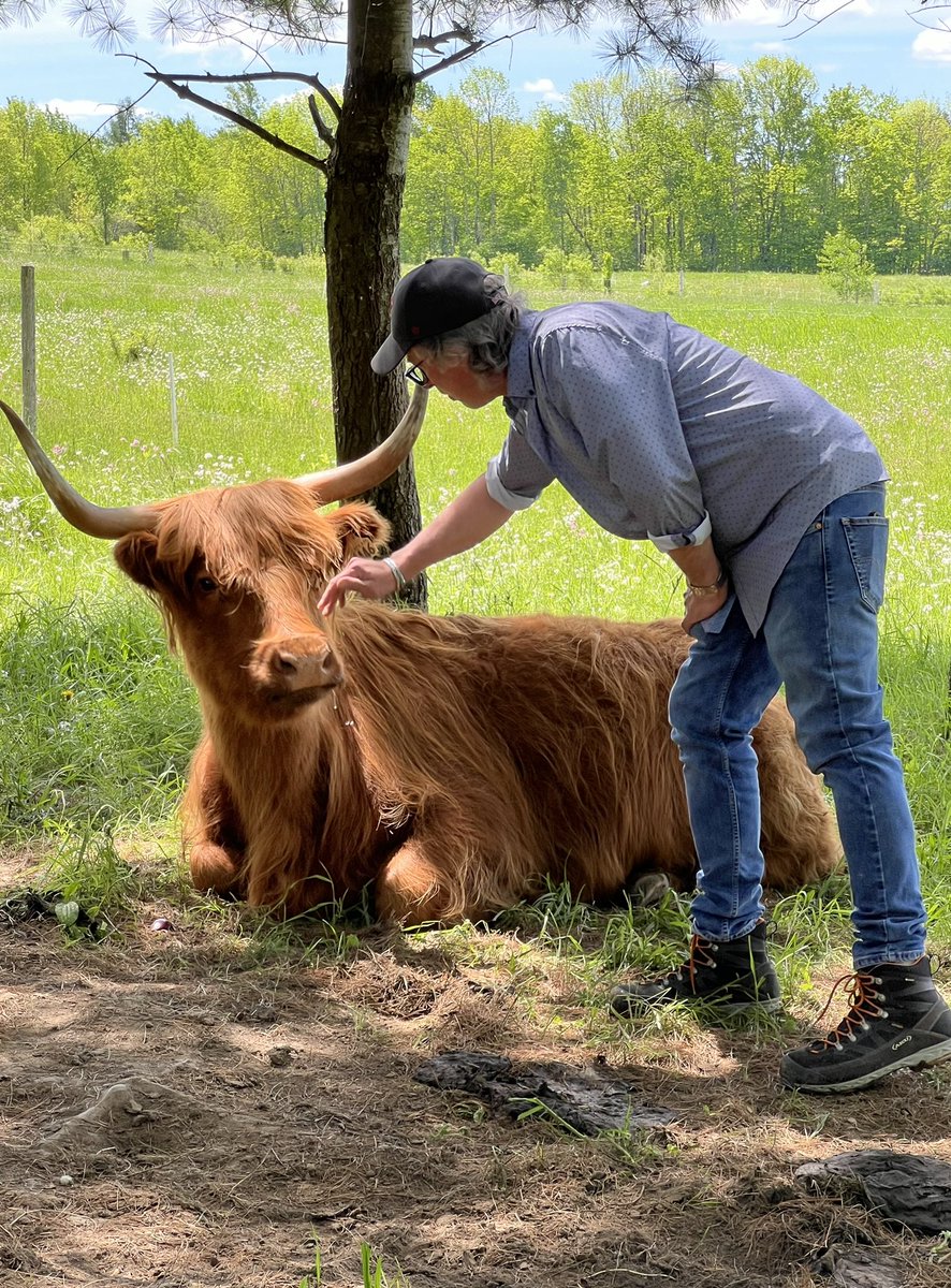 CTVLegacyTech's tweet photo. An early, and very special birthday present; hanging out in West Bolton with Highland Cows. Not something you see everyday!! A great big โMerciโ to my @Nathalie_B for setting this up. ๐โค๏ธ๐ด๓ ง๓ ข๓ ณ๓ ฃ๓ ด๓ ฟ #Coos #Moo #ForAllTheCows #TonsOfFun https://t.co/bKD7sY65X8