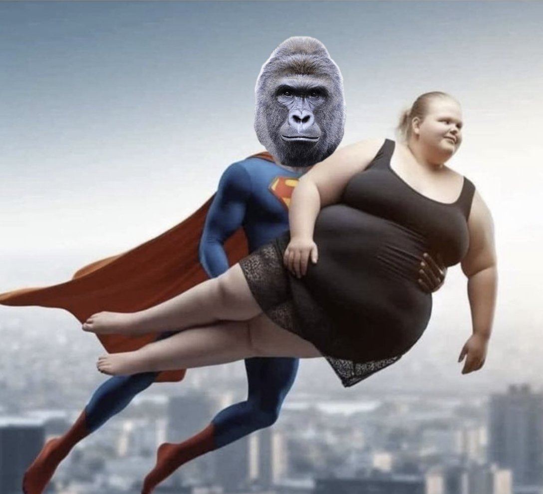 Harambe Official tweet media