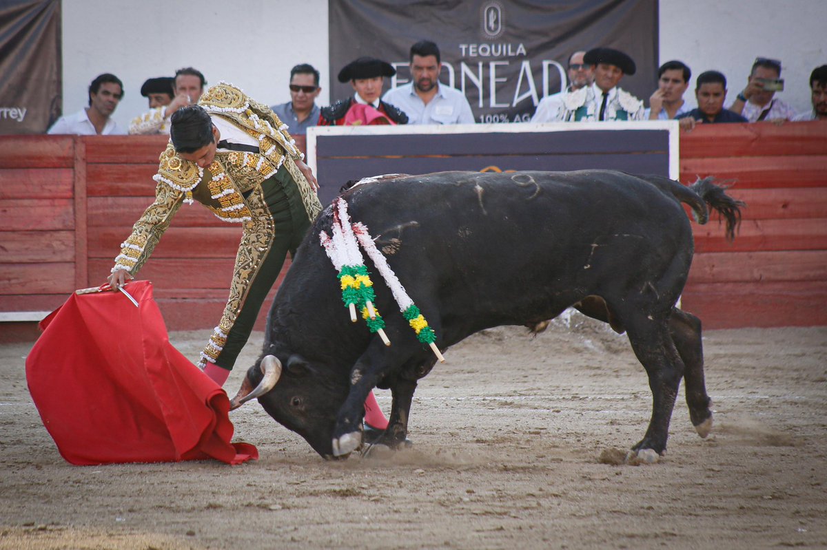 Prensa Sergio Flores tweet media