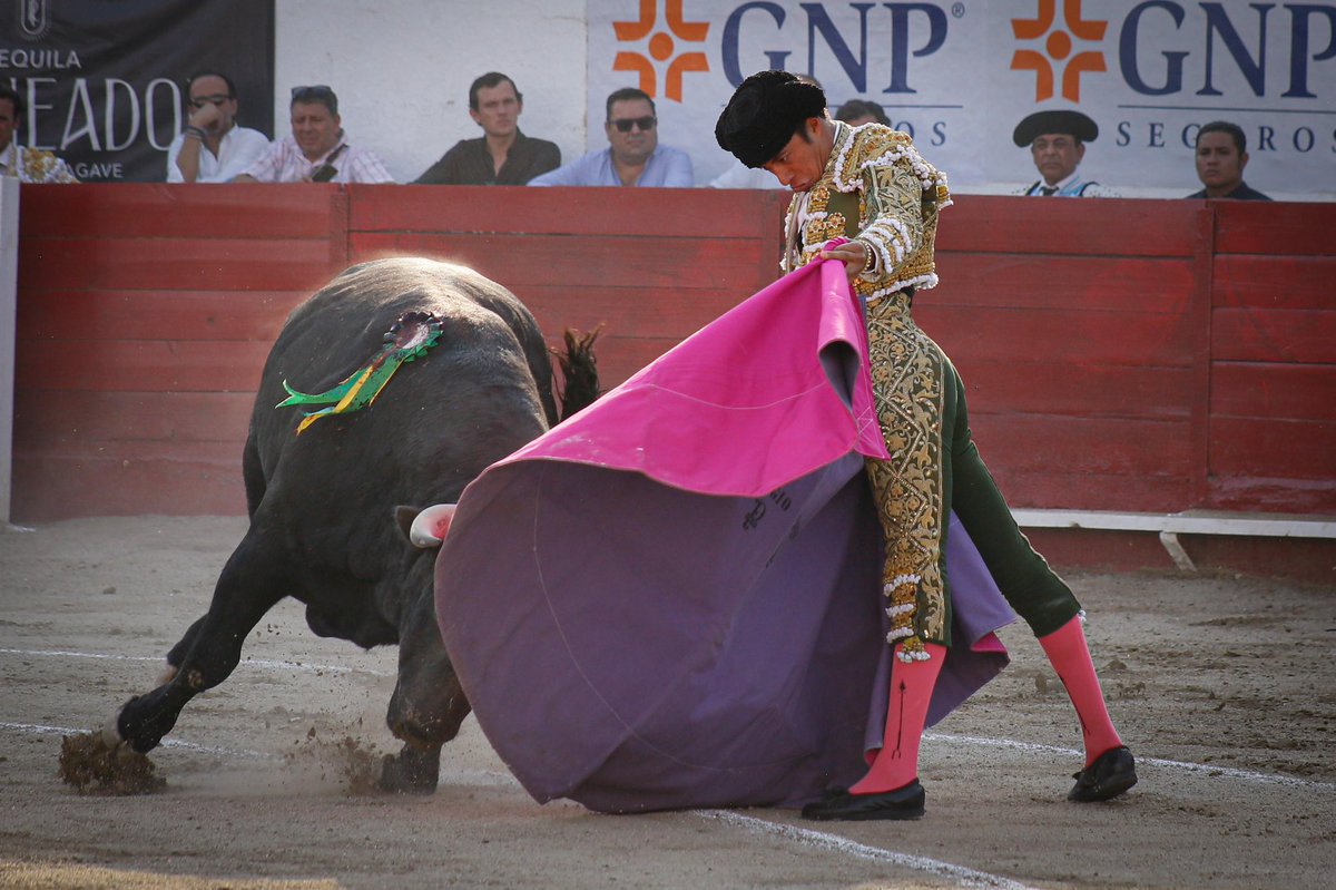 Prensa Sergio Flores tweet media