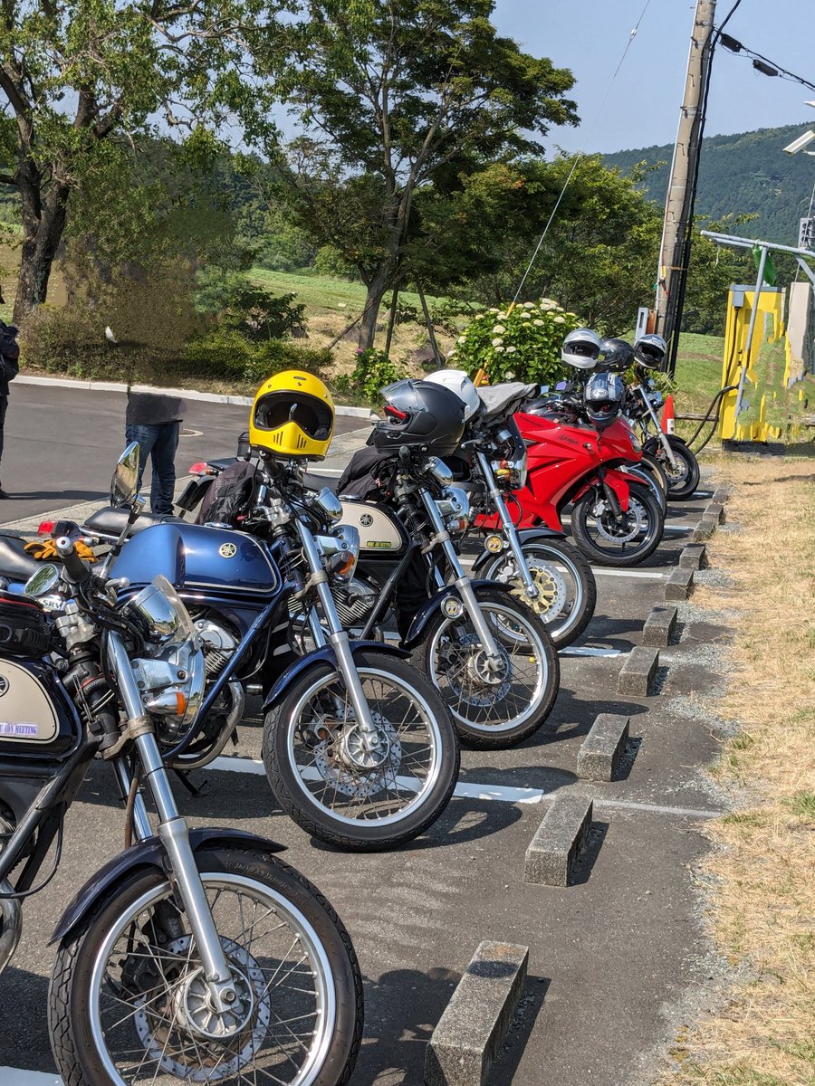 KuuMas's tweet photo. 今日もしっかり集まりました https://t.co/MdYWT4ZtkP