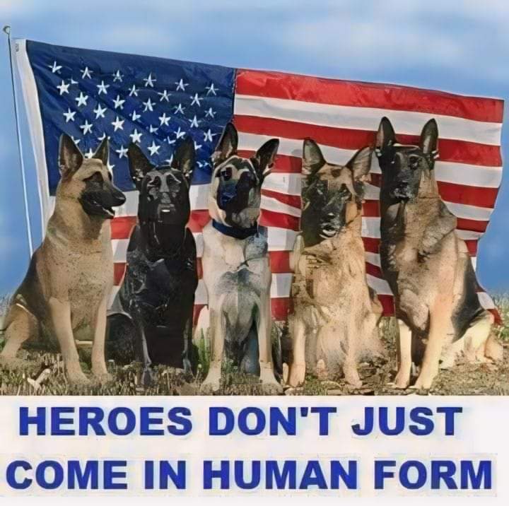 sebubbs69s's tweet image. #PetsForBiden