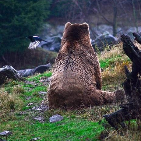 ᅠ 
….  𝒔͟𝒊͟𝒈͟𝒉͟𝒔͟  .
ᅠ