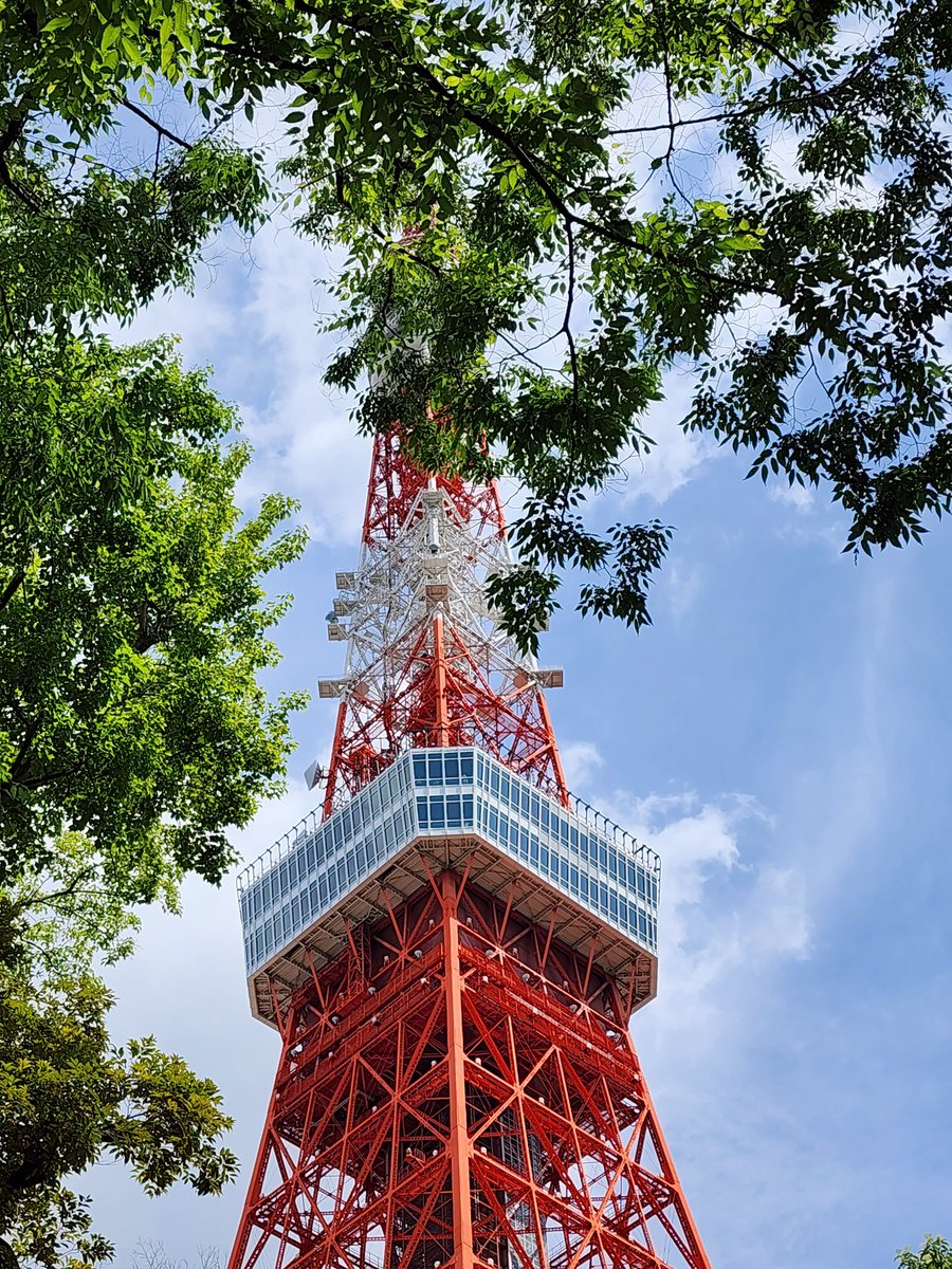 やっぱし気になる東京タワー🗼