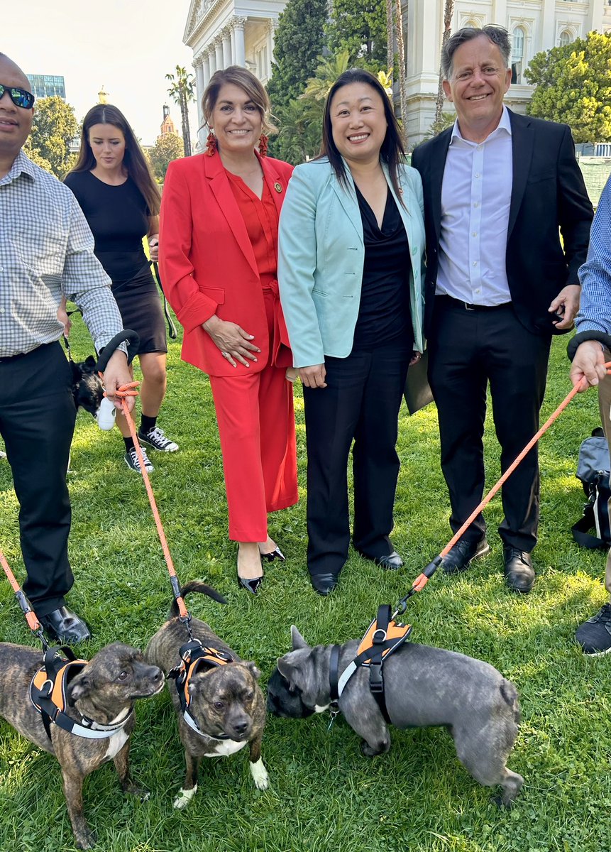 We did it again! My second animal shelter bill unanimously passed the Senate. It’s protocol for animal medical charts re intake exams, pain management, reasons for euthanasia, etc. Thank you to my colleagues and on to the Assembly! #SD36 @JoshNewmanCA
