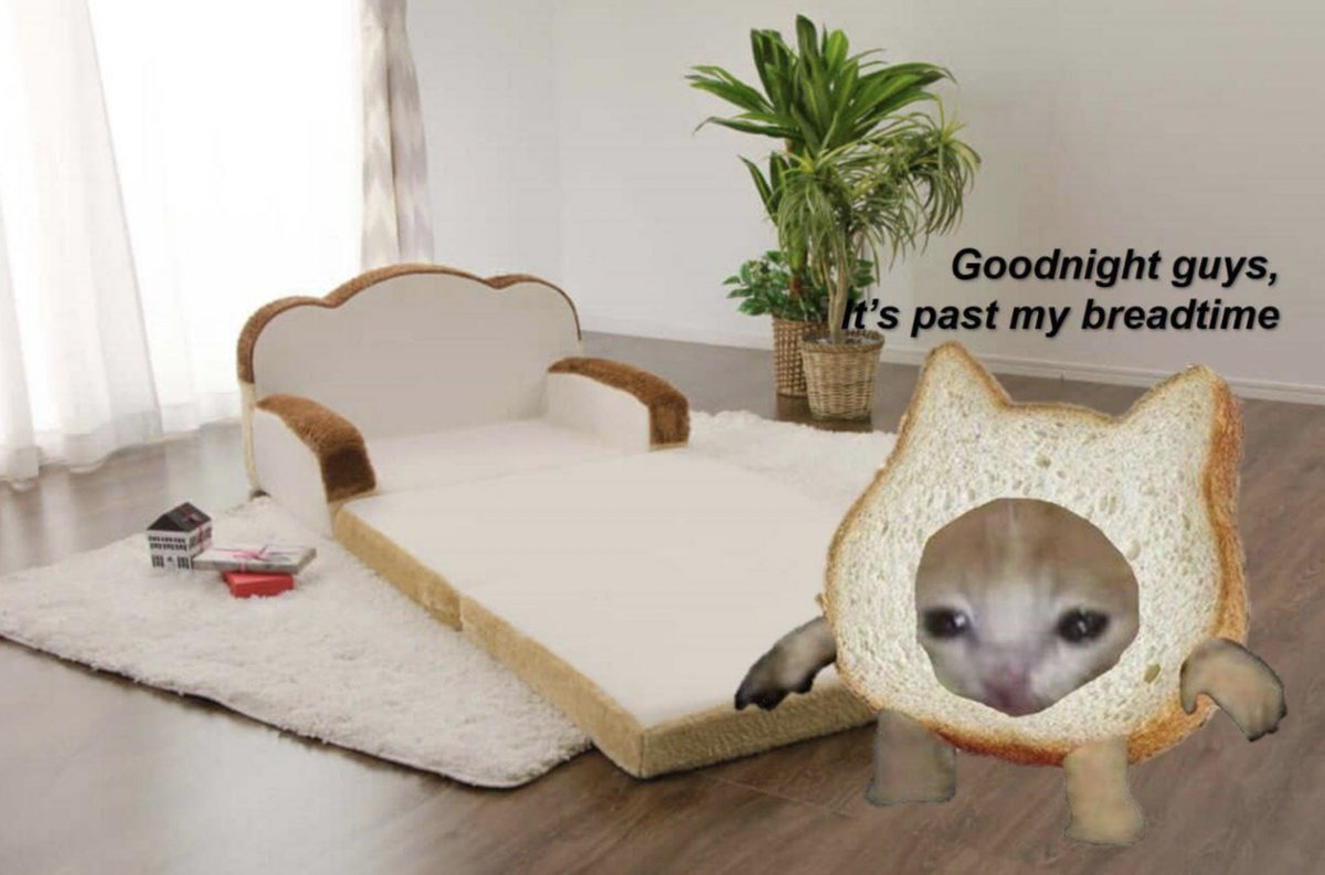 yishanyugong's tweet photo. @breadgiver @kozmikbumz @pudgypenguins @visitsugartown @minigangsol Okay good chat, I gotta go now. Past my bread-time. Hayooooo. $MINI https://t.co/L8iIFdXYvZ